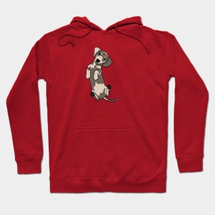 Happy dachshund illustration Hoodie